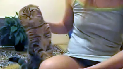 Un viral vechi revine în atenţia internauţilor: pisica e prea drăgălaşă, fata prea sexy VIDEO