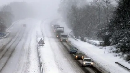 Prima ninsoare în Pasul Tihuţa: Drumarii au intervenit cu zeci de tone de sare VIDEO
