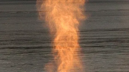 Fotografia zilei: Balena care scuipă foc