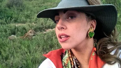 Lady Gaga nu se teme de nimic: S-a pozat alături de 13 lei FOTO
