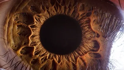 Fotografii uimitoare ale irisului ochiului, văzut de aproape