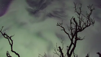 O auroră boreală stranie: Luminile ciudate de pe cerul Suediei FOTO