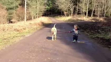 Videoclipul care a cucerit internetul: Un băieţel îşi lasă câinele pentru a se juca în băltoacă