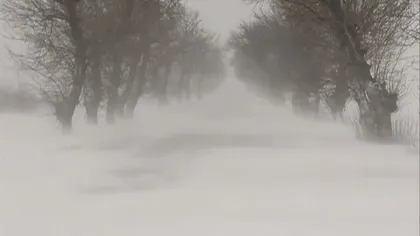 România, îngropată sub zăpadă. Trenuri ANULATE şi drumuri BLOCATE, şcoli închise VIDEO