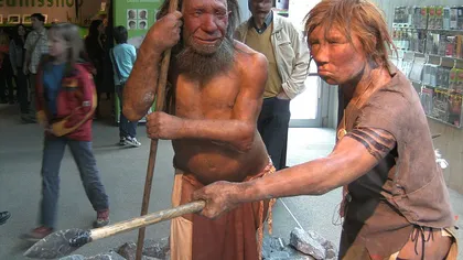 Se caută femeie care să dea naştere unui bebeluş de neanderthal