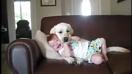 CEL MAI DULCE COPIL. Râde în hohote când câinele familiei îl linge pe faţă VIDEO