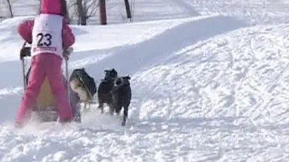 Distracţie în zăpadă: Concurs de sănii trase de câini, în Rusia VIDEO