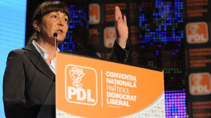 Macovei vrea 8-12 mii de delegaţi la Convenţia PDL: E gen acţiune «întoarcerea la popor»