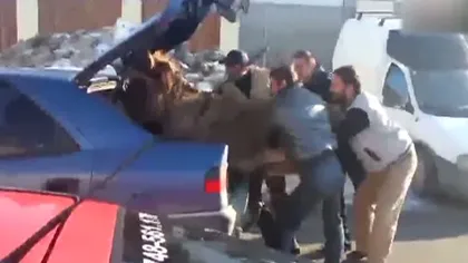 Doar în România: Patru bărbaţi au îndesat un măgar în portbagajul unei maşini VIDEO