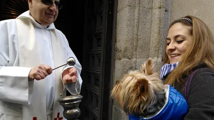 De Sfântul Anton, animalele primesc binecuvântarea în bisericile din Spania