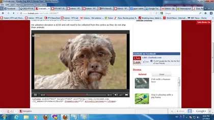 Câinele cu faţă umană şi povestea lui emoţionantă VIDEO