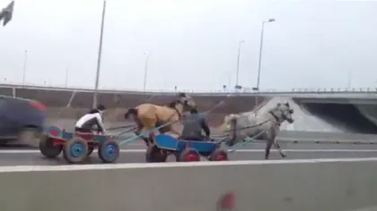 Se întâmplă în România: Cursă cu căruţe trase de cai pe... Autostrada Soarelui VIDEO