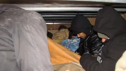 Nouă imigranţi, prinşi în timp ce încercau să iasă din ţară ascunşi într-un camion VIDEO