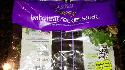 Descoperire DEZGUSTĂTOARE într-o pungă de salată din supermarket FOTO