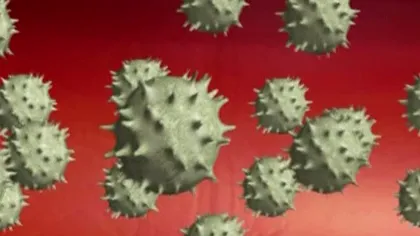 Virus asemănător cu SARS: Nou caz în Anglia, care sugerează transmiterea de la persoană la persoană