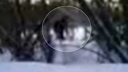 Yeti, filmat în Siberia: Un elev de 11 ani s-a întâlnit cu monstrul zăpezilor în pădure VIDEO