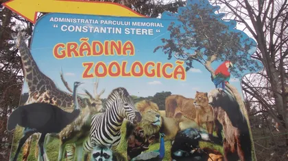 Grădina Zoologică Bucov, celebră pentru incidentele legate de animale VIDEO