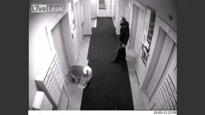 De neimaginat: Un rus beat îşi spânzură câinele cu liftul VIDEO