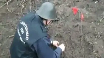 Cartuşe de război şi o mină antitanc, găsite pe domeniul de la Balc al lui Ion Ţiriac VIDEO