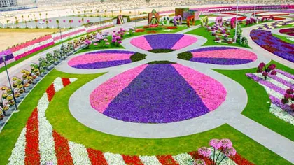 Cea mai mare grădină cu flori naturale din lume a fost inaugurată în Dubai VIDEO