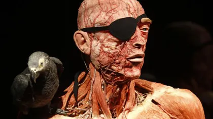 Record de vizitatori la Muzeul Antipa. Controversata expoziţie The Human Body stârneşte curiozitatea