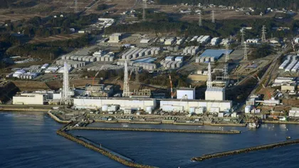 Un sistem de răcire la Fukushima a fost OPRIT din cauza unui ŞOBOLAN mort