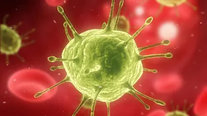 Tratamentul rapid după infecţia cu HIV vindecă funcţional o persoană din zece