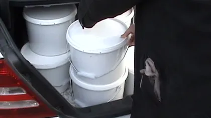 Poliţia Capitalei: 800 de kg de peşte, icre de ştiucă, maşini, confiscate de poliţişti în zona Delta Dunării