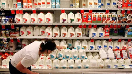 Daniel Constantin: Tot laptele din magazine este bun pentru consum