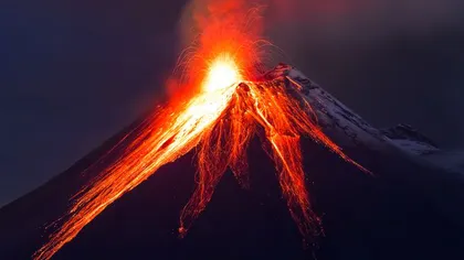 Speciile vii de pe Pământ au fost înjumătăţite de erupţiile vulcanice, acum 200 milioane ani