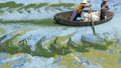 Efectele poluării din China: Cum arată apele din 