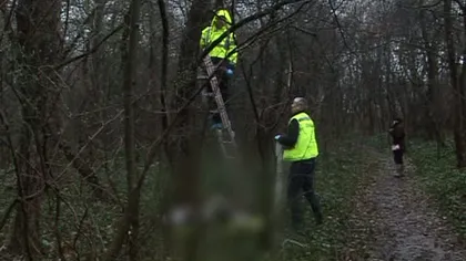 Un tânăr a fost găsit spânzurat într-o pădure din Timişoara