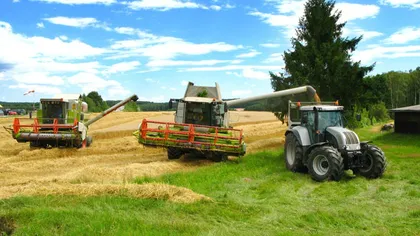 România are cea mai mare producţie de grâu şi secară din ultimii opt ani