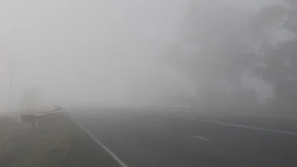 COD GALBEN de ceaţă în Moldova