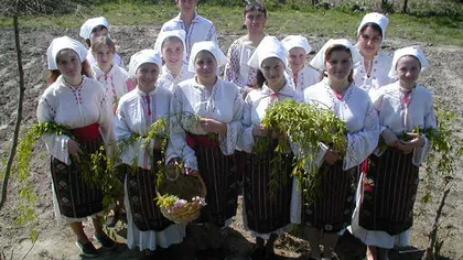 Tradiţii şi obiceiuri de Florii: Ce reprezintă salcia, unul dintre simbolurile sărbătorii