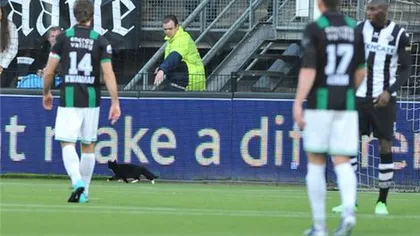 Pisica neagră pe gazon. O felină a întrerupt un meci de fotbal în Olanda VIDEO