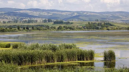 Ministrul Apelor şi Pădurilor: Principala prioritate, reamenajarea Luncii Dunării