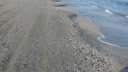 Un bărbat a fost găsit mort pe o plajă din Mamaia de un cuplu care se plimba pe malul mării