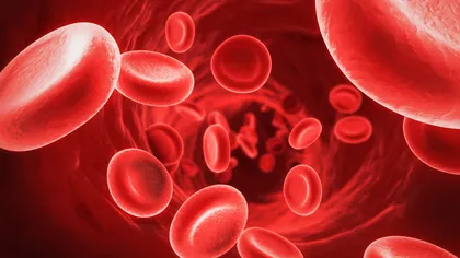 Celulele stem sangvine au o abilitate uimitoare: Răspund la urgenţele organismului