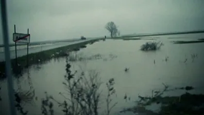 Dezastrul făcut de inundaţii. Bilanţ: mii de hectare de păduri şi terenuri agricole afectate VIDEO