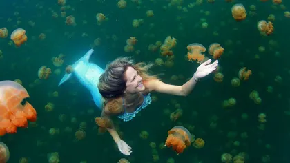 SIRENĂ de închiriat: Povestea femeii cu o COADĂ de 10.000 de lire care înoată cu RECHINII FOTO&VIDEO