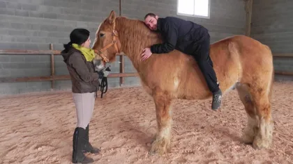 Hipoterapia: Tulburările fizice şi psihice pot fi calmate cu ajutorul cailor