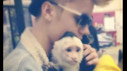 Justin Bieber nu s-a întors după maimuţa sa: Animalul va rămâne în Germania FOTO