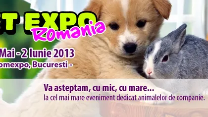 Pet Expo: Cel mai mare târg dedicat animalelor de companie a început vineri, în Capitală