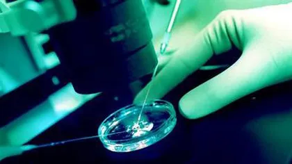 Descoperire IMPORTANTĂ: Au fost create primele celule STEM embrionare UMANE prin CLONARE VIDEO