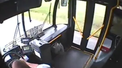 EXPERIENŢĂ UNICĂ: O căprioară s-a urcat clandestin în autobuz VIDEO