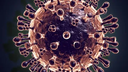 Un VIRUS HIBRID creat în China ar putea DISTRUGE OMENIREA
