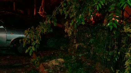 Furtuna a făcut RAVAGII în Bucureşti. Copacii doborâţi de vânt au avariat mai multe maşini VIDEO