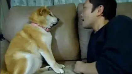 Ce face un câine care nu vrea să fie pupat de stăpân VIDEO
