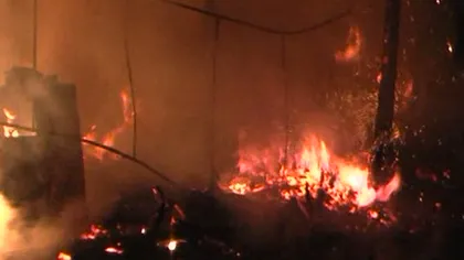Un bărbat din Maramureş şi-a încendiat casa, lăsându-şi familia pe drumuri